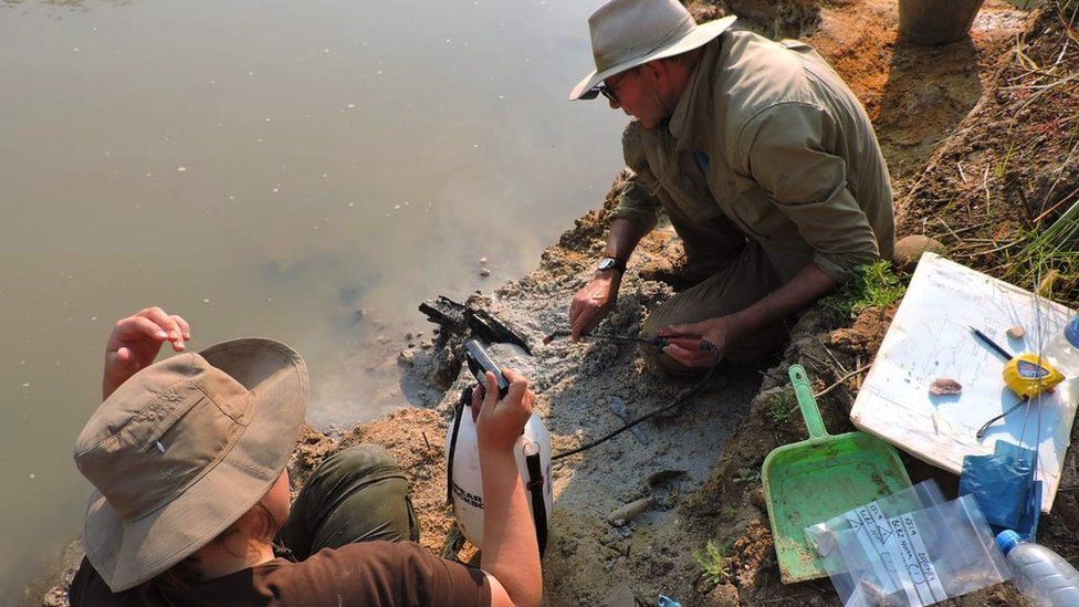 Professor Larry Barham (pictured, right) uncovering prehistoric wooden tools on the banks of the river