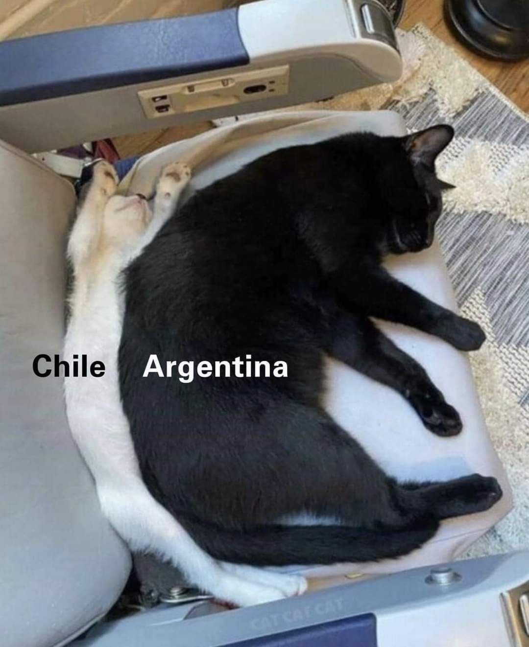 1000038699.jpg