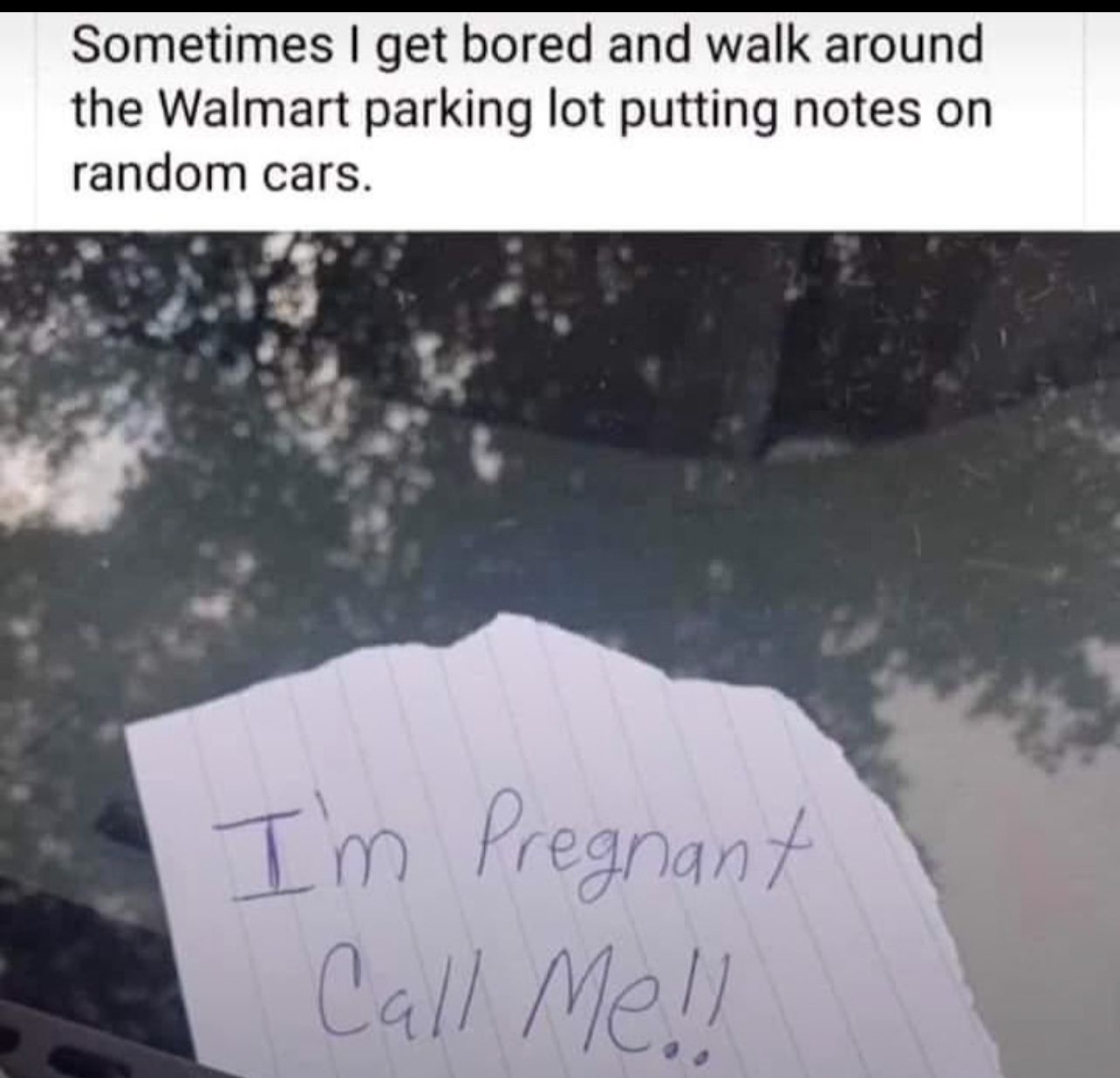 1000039455.jpg