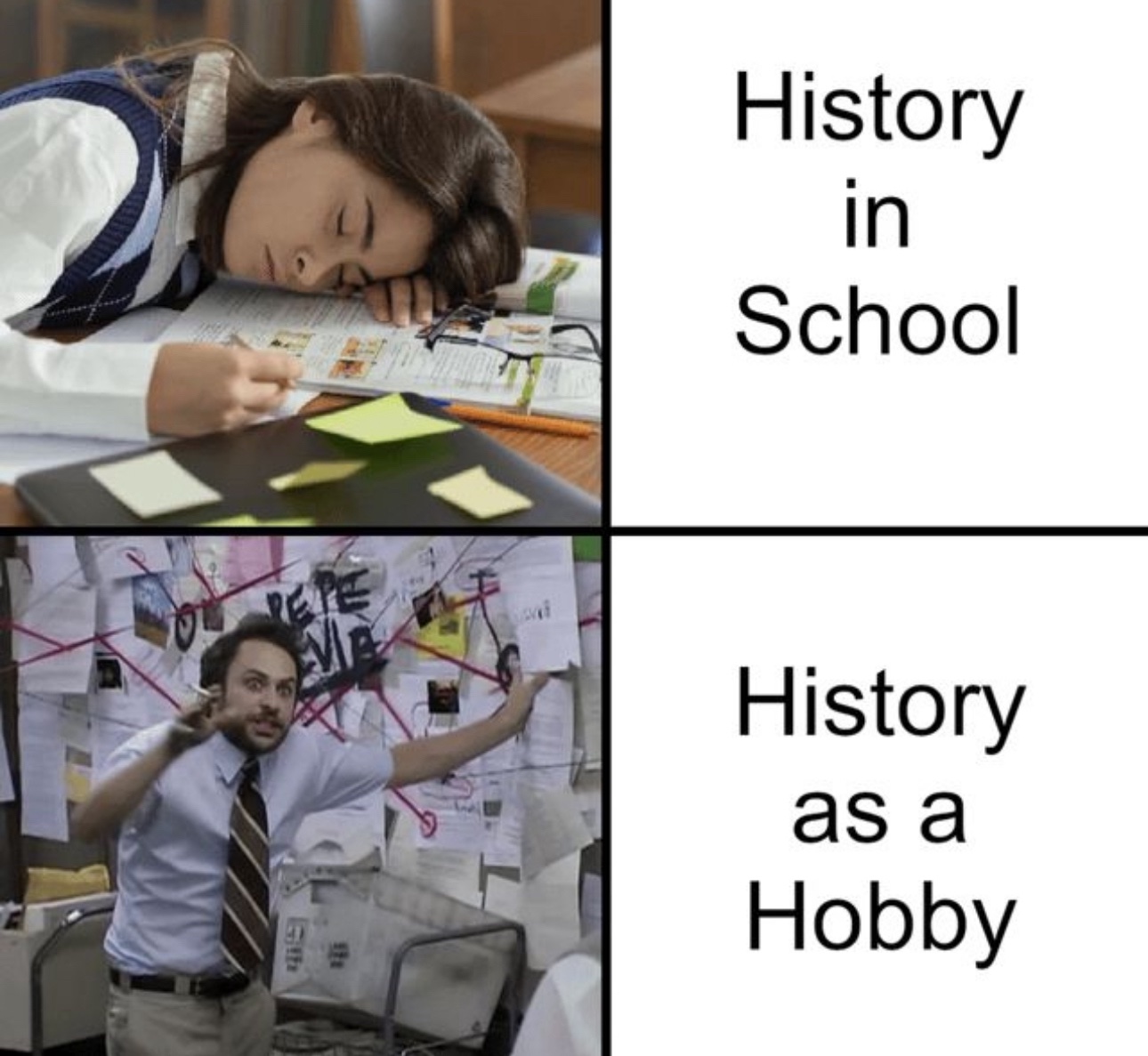 1000042092.jpg