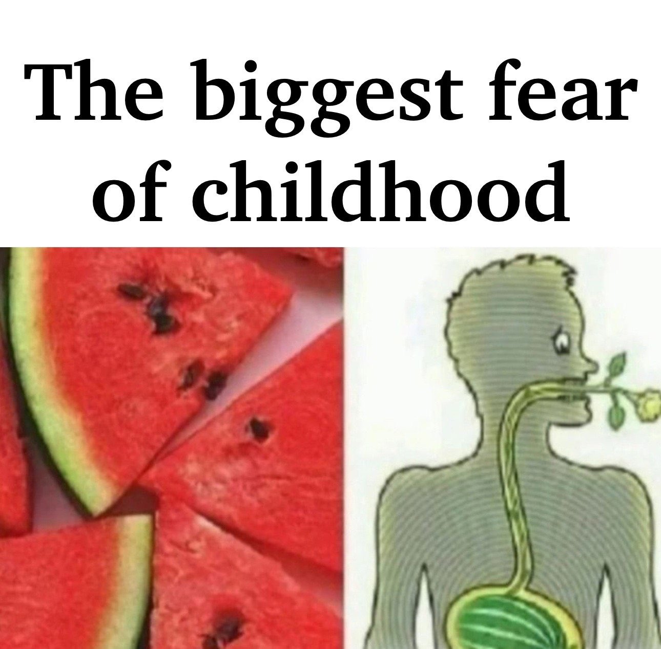1000057536.jpg