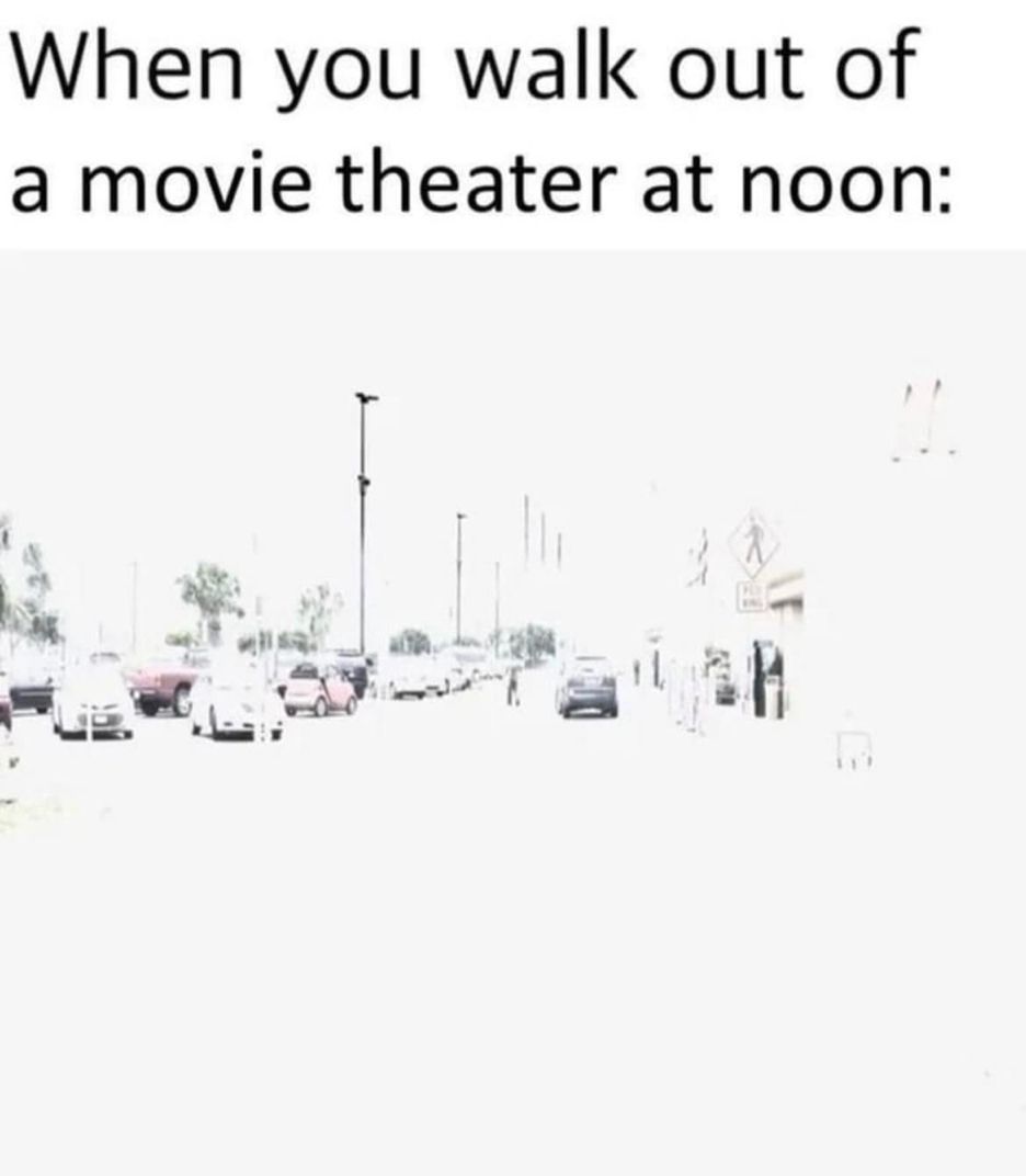 1000073237.jpg