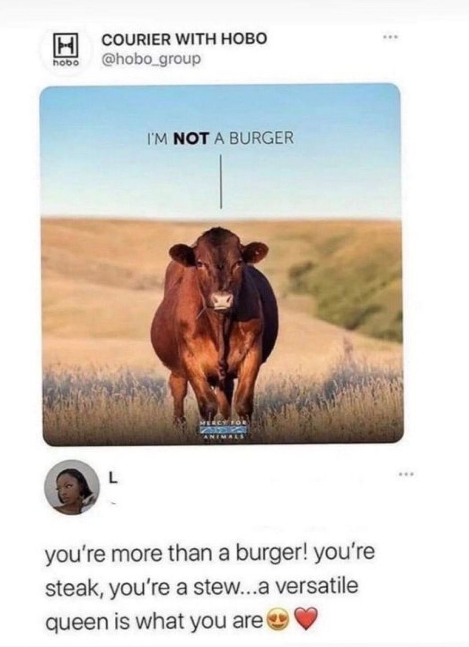1000110278.jpg
