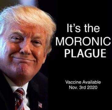 101867546_1454651821381916_3545555473476354048_n.jpg