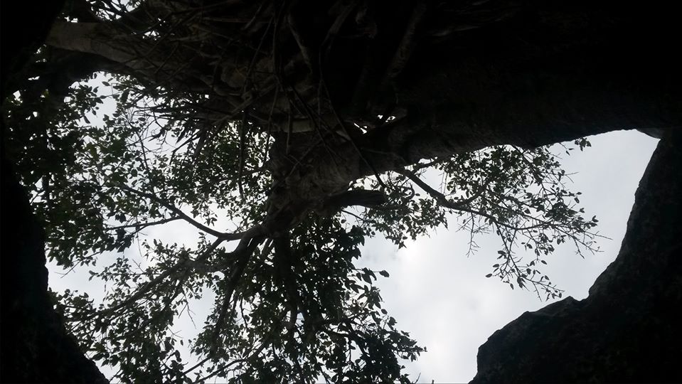 104312467_1621838627993553_9004201681780535659_o.jpg