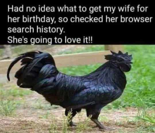 1589568094217.png