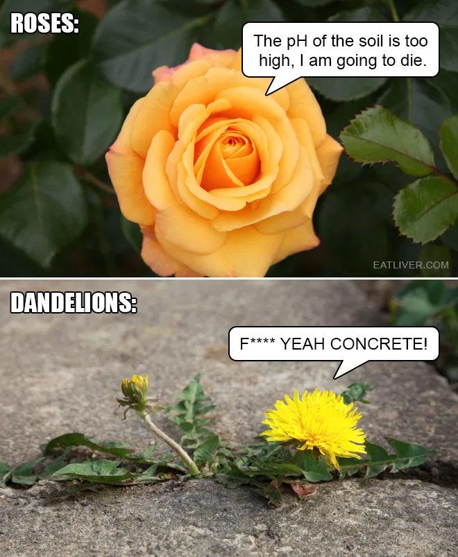 1593374044303.png