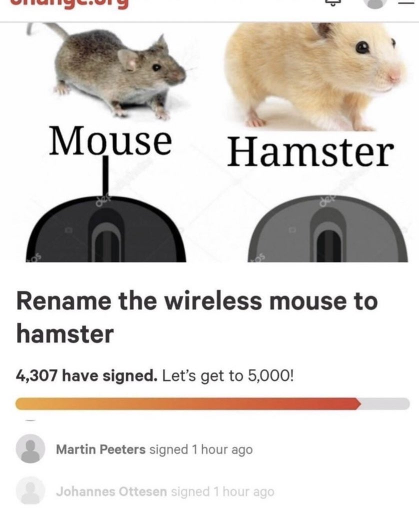 1622014866584.png