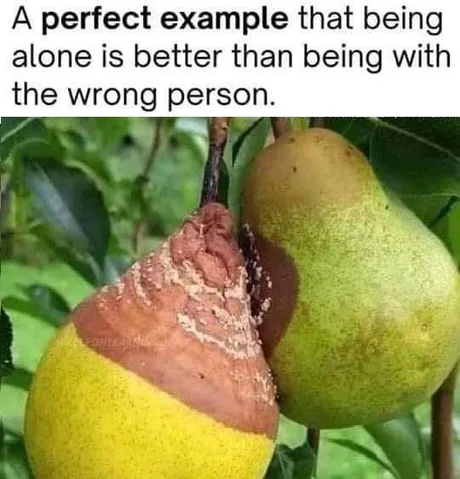 1623754146731.png