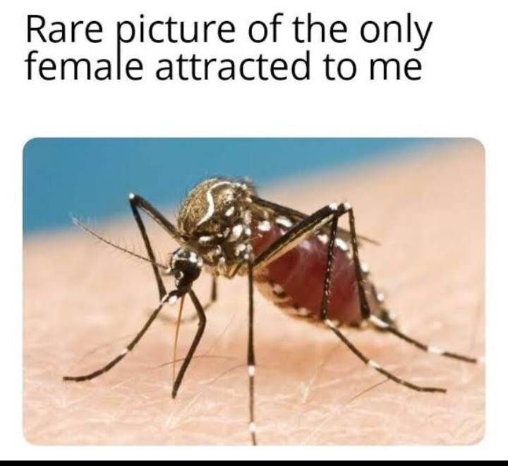 1624011249535.png