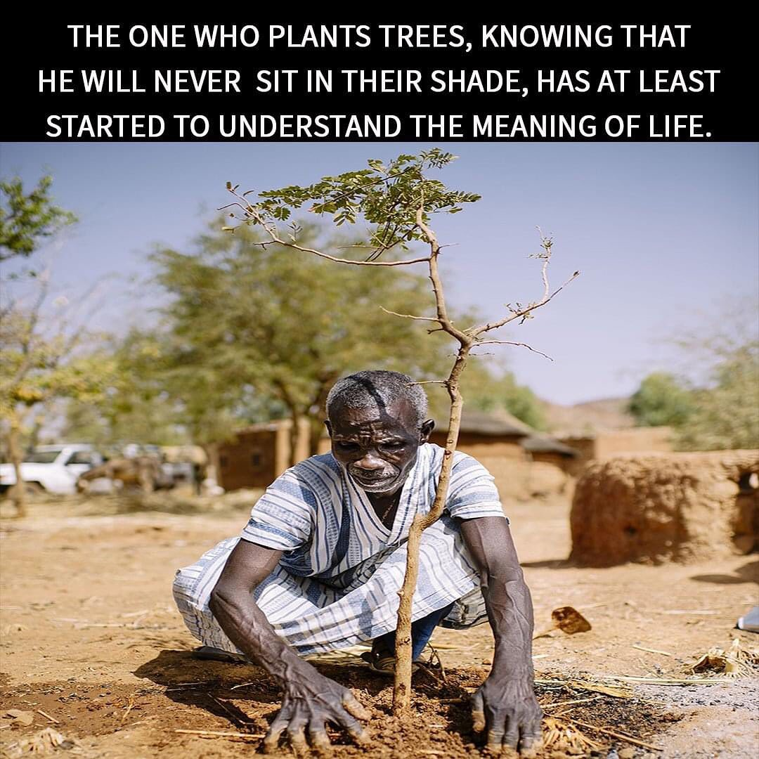 1628934096004.png