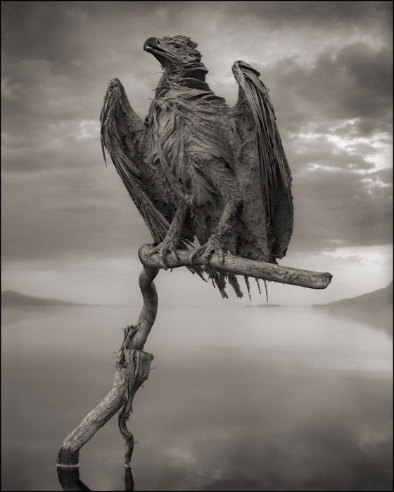 1633939711495.png