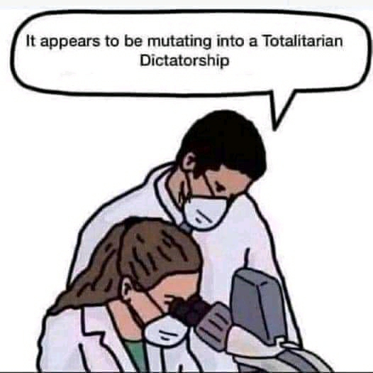1641226051577.jpg