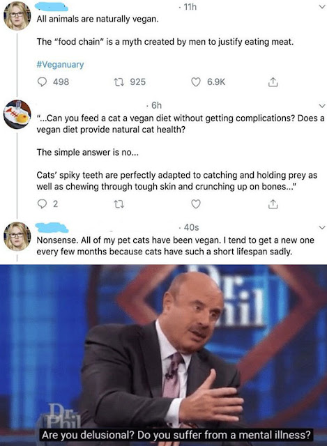 1642995580311.png
