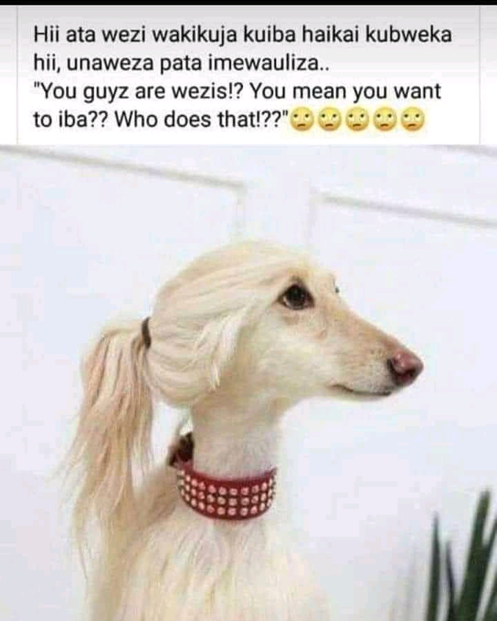 1646155688875.jpg