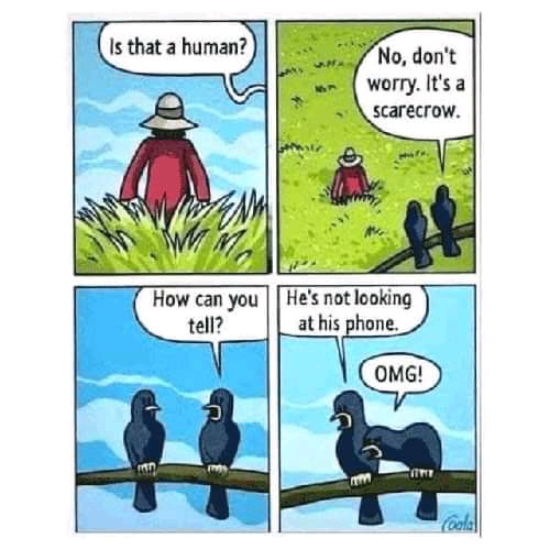 1647838435011.jpg
