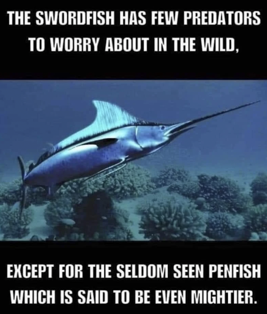 1651465172148.png
