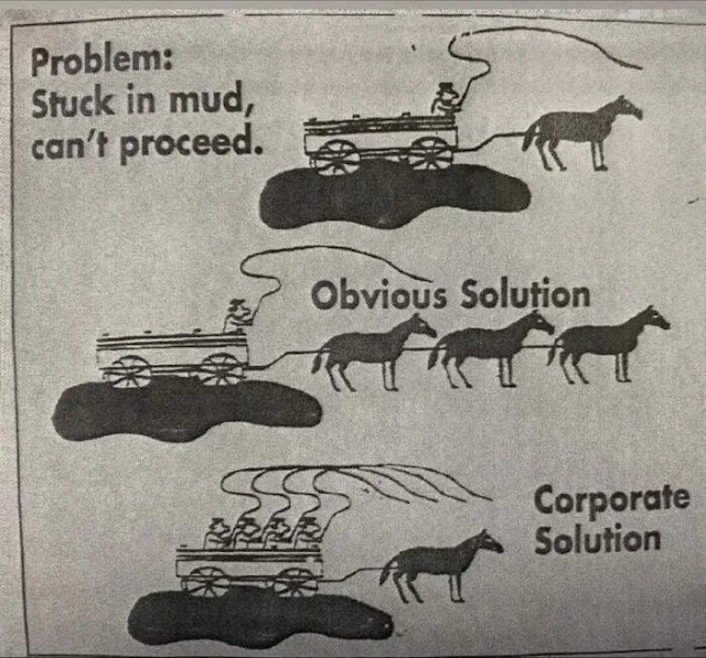 1651812441786.png