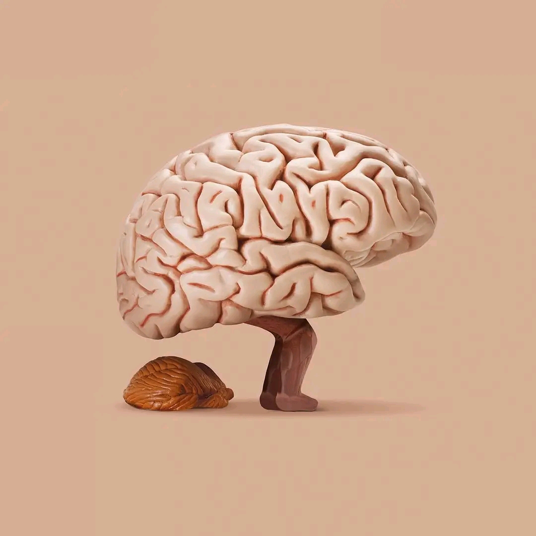 1652686729045.jpg