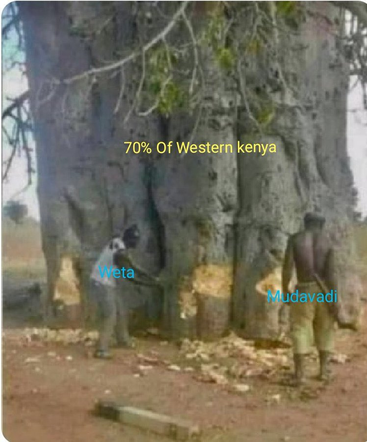 1652802331290.png