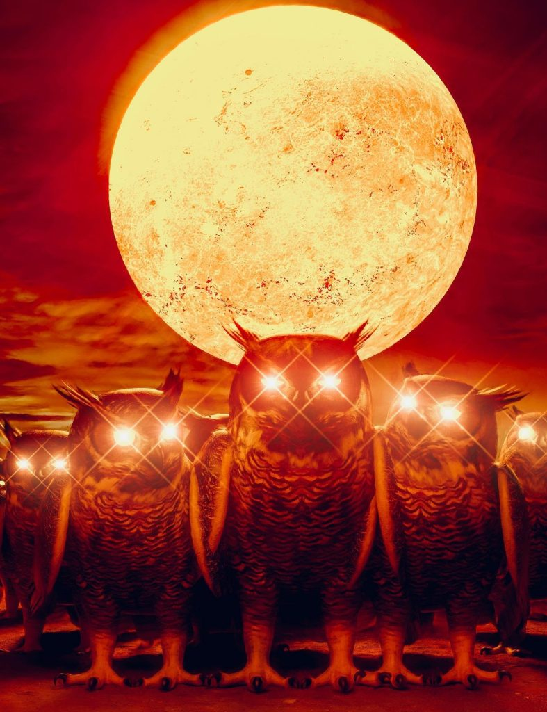 1653322236282.png