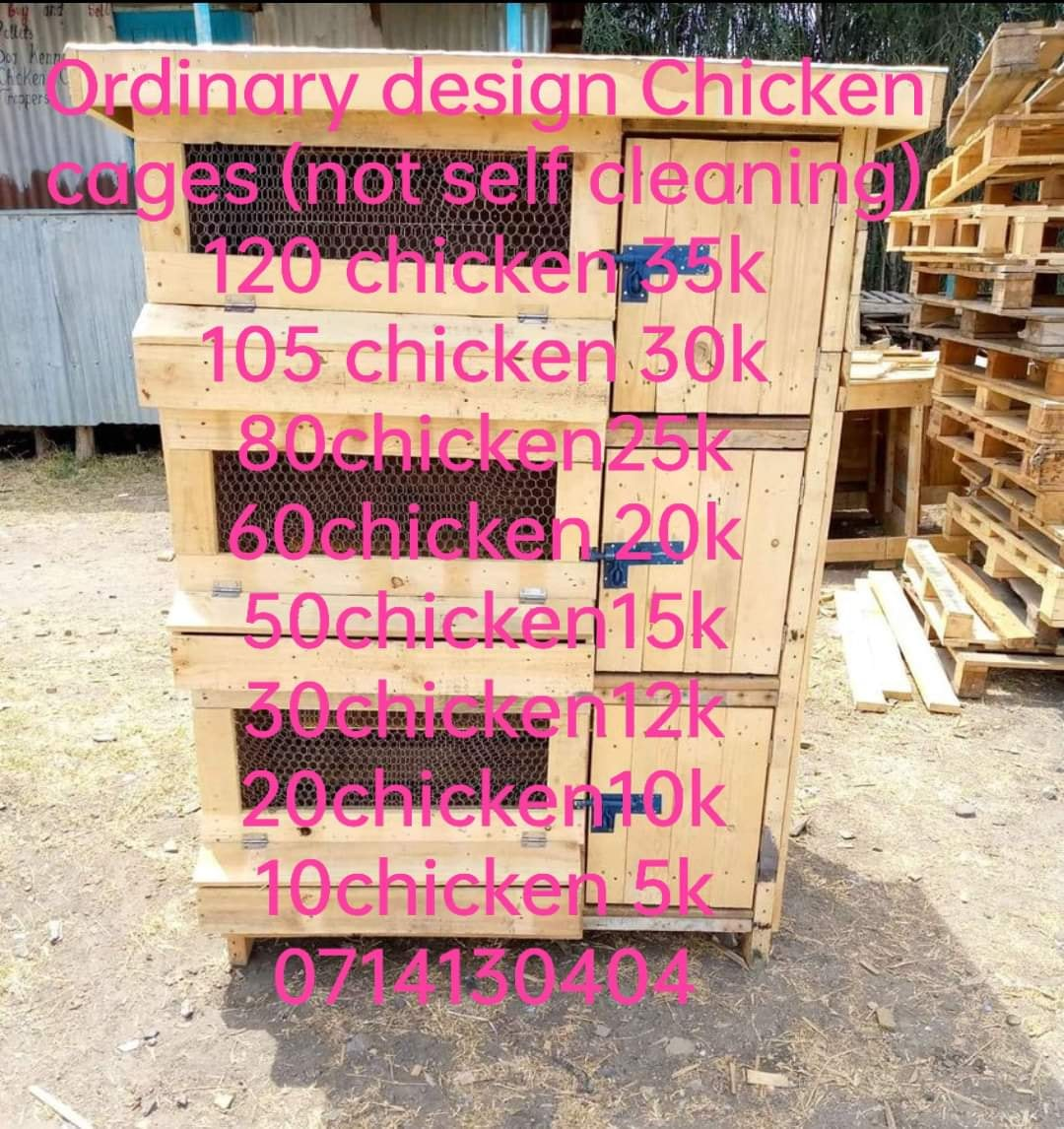 1657205981786.png