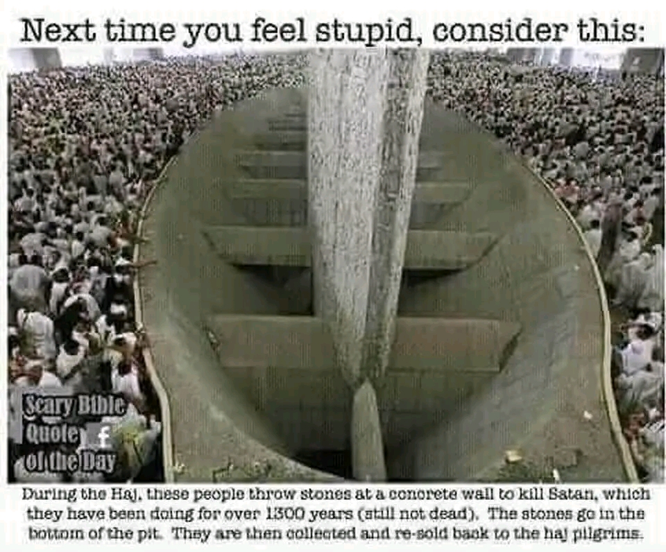 1657269962524.jpg