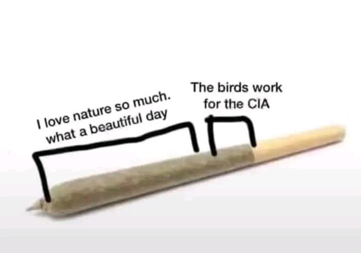 1661150378705.jpg