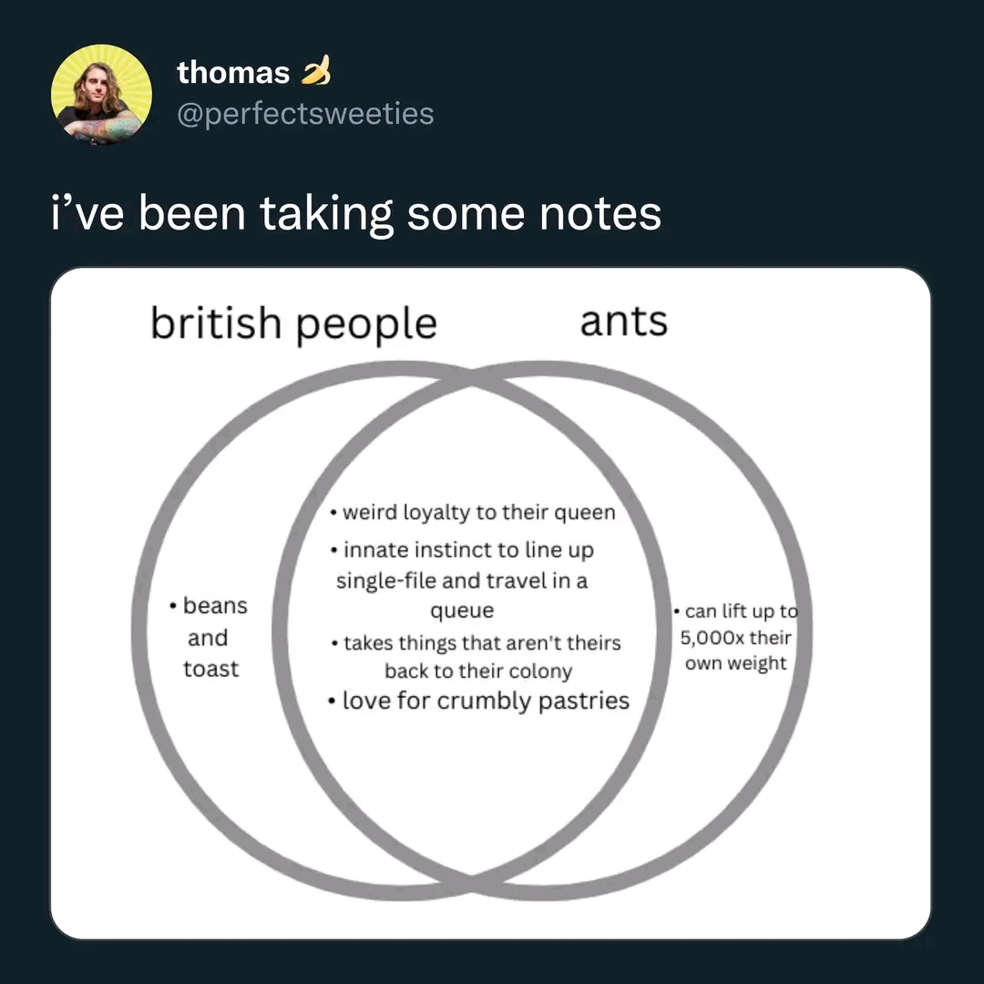 1663733724828.jpg