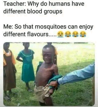 1665220394671.jpg