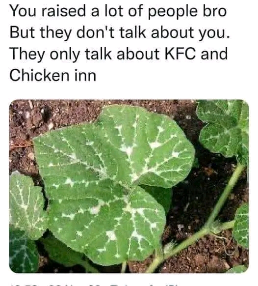 1669345575627.jpg
