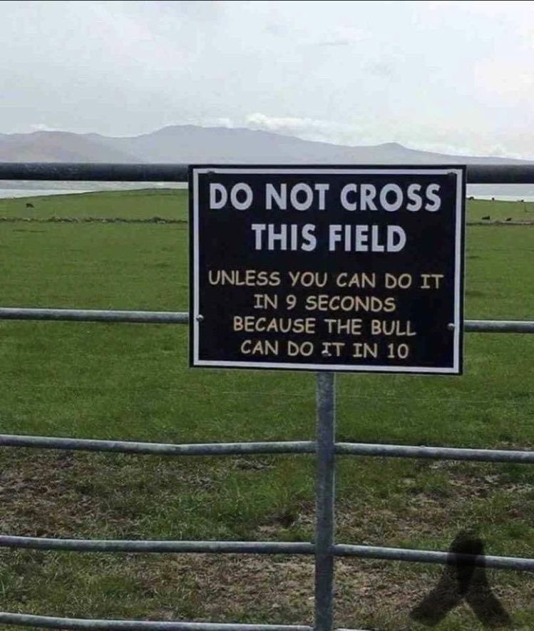 1669965024258.png