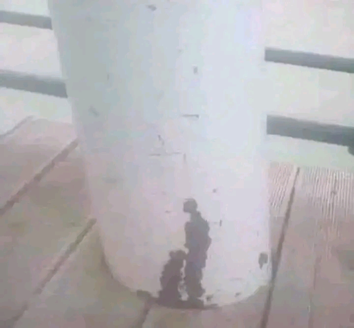 1670482746229.jpg