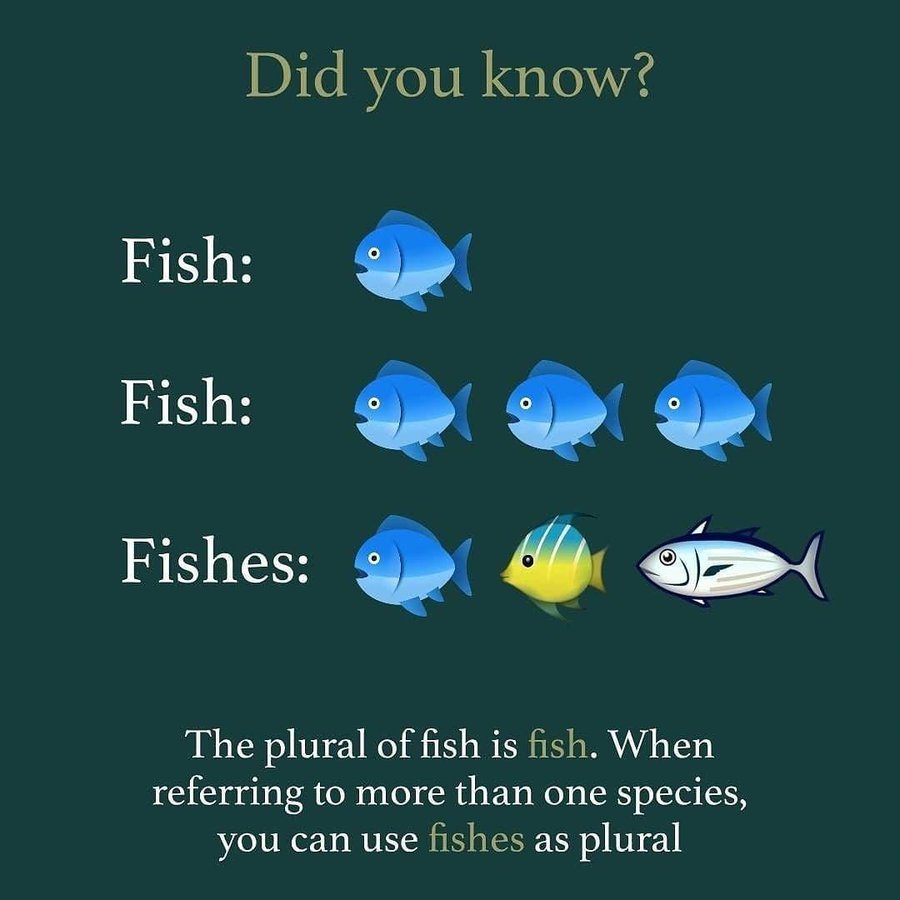 1674555692021.png