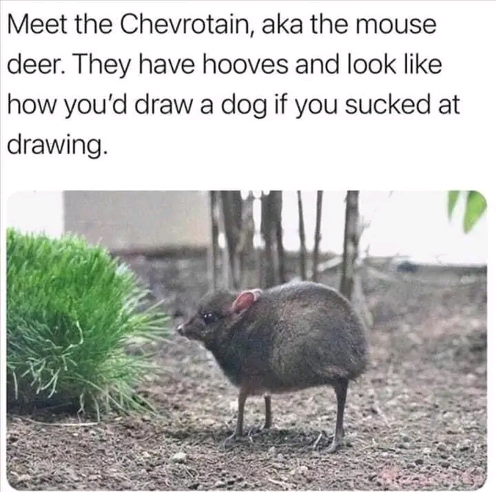 1674835419289.jpg