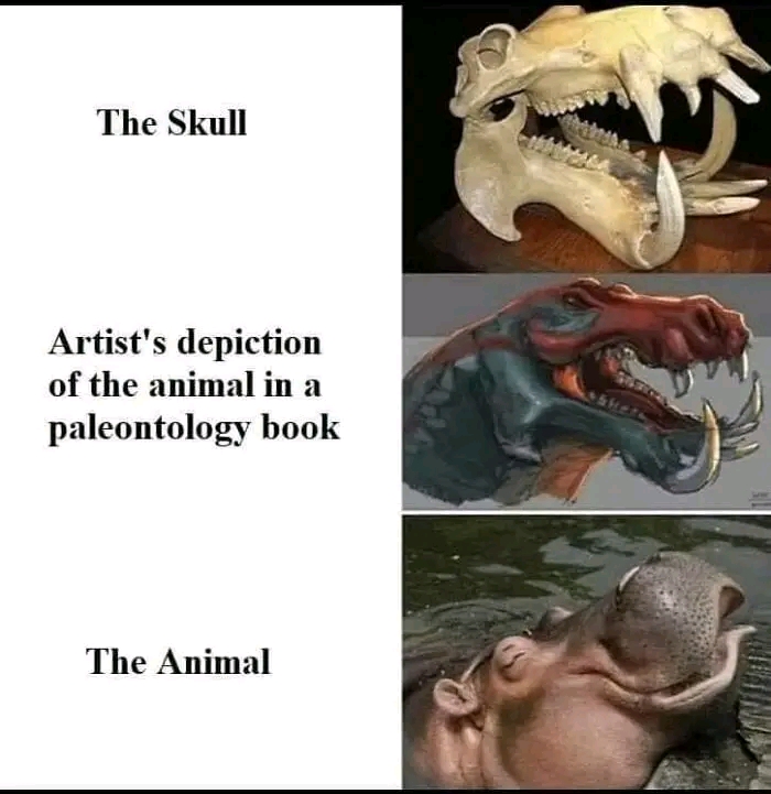 1674835490453.jpg