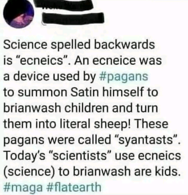 1675096272017.jpg