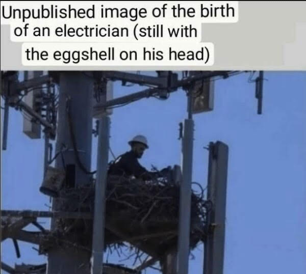 1679292573165.png
