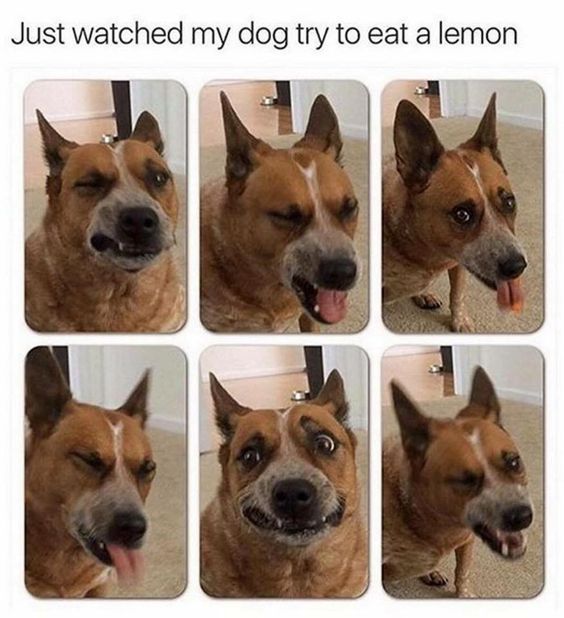 1679292623304.png