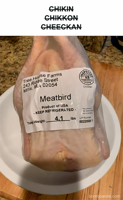 1681963082984.png