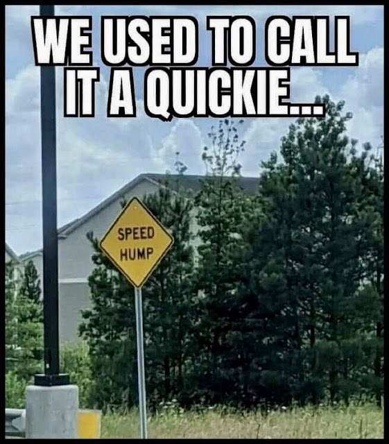 1686637090429.png
