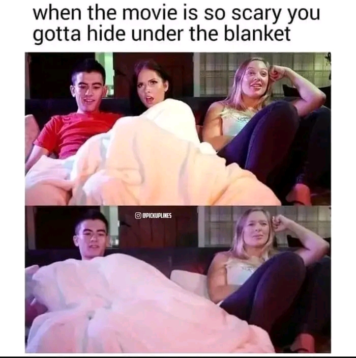 1686887502554.jpg