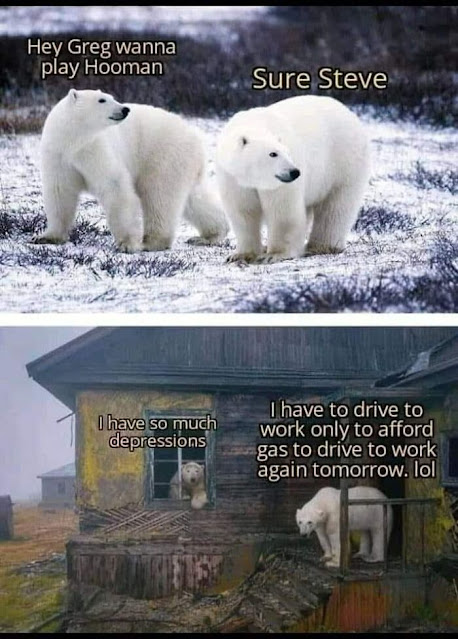 1688199514316.png