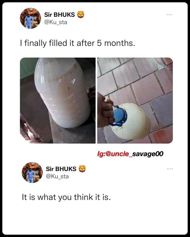 1688412098423.jpg