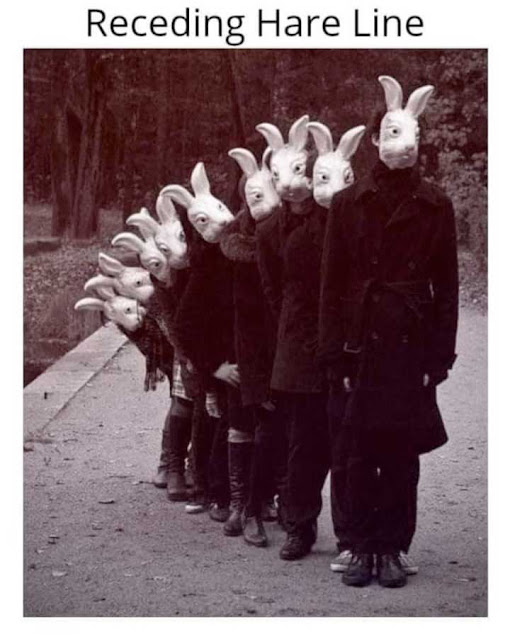 1688960538533.png