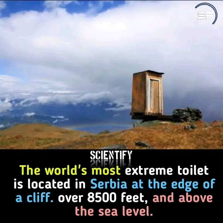 1689995081789.jpg