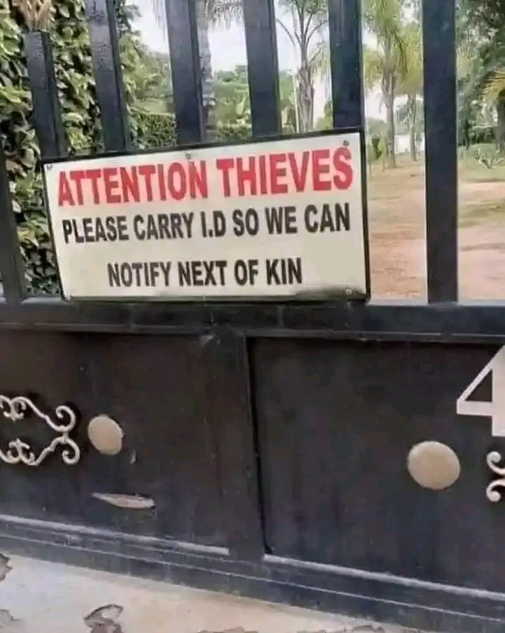 1691335618261.jpg