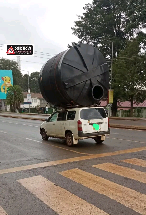 1691423806866.jpg