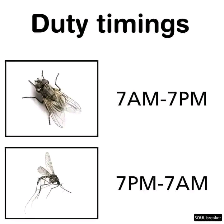 1691714323882.jpg