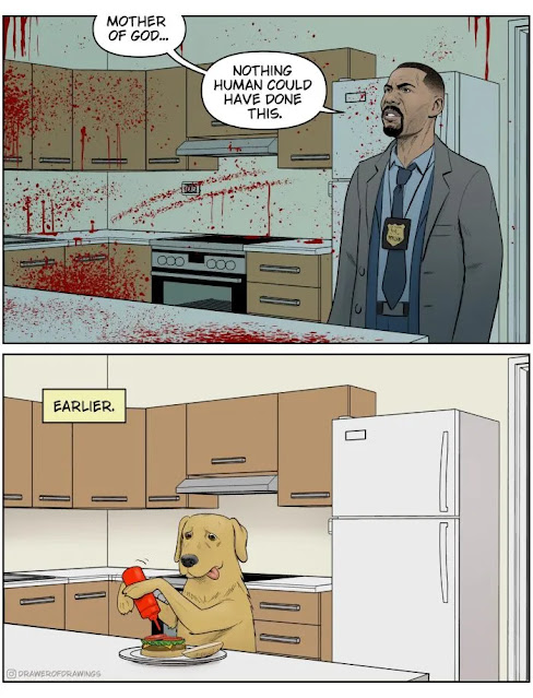 1692764417209.png